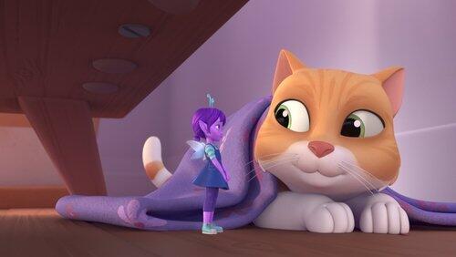 Finding Meow Meow Finding Meow Meow