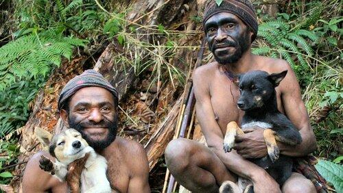 Dogs That Changed The World: The Rise of the Dog Dogs That Changed The World: The Rise of the Dog