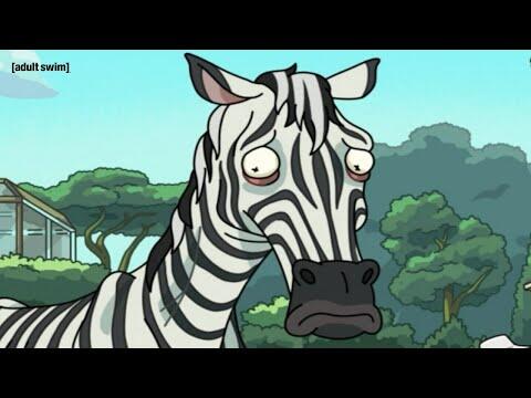Humans Eat the Zebra Food