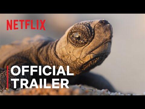 Our Planet II Official Trailer
