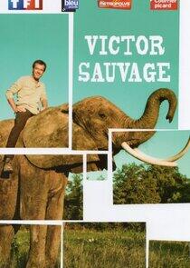 Victor Sauvage Victor Sauvage