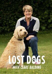 Lost Dogs Live with Clare Balding Lost Dogs Live with Clare Balding