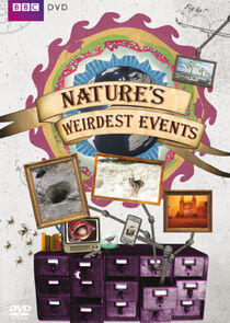 Nature's Weirdest Events Nature's Weirdest Events