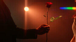 The Bachelor: Every Rose Has Its Thorn The Bachelor: Every Rose Has Its Thorn