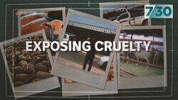 Exposing Cruelty Exposing Cruelty