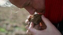 Alain Passard Alain Passard