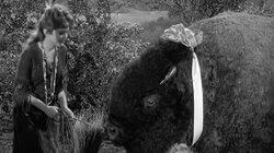 The Great Buffalo Hunt The Great Buffalo Hunt