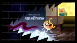The First Investigation