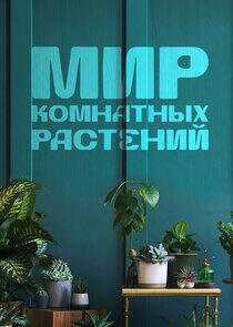 Мир комнатных растений Мир комнатных растений