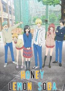 Honey Lemon Soda Honey Lemon Soda