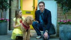 Waffle Steals the Show Waffle Steals the Show