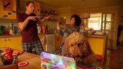 Waffle's Dog Family Waffle's Dog Family