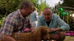 Waffle's Sort of Birthday Waffle's Sort of Birthday