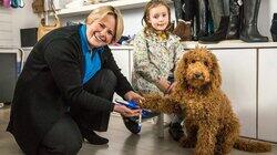 Waffle in the Shoe Shop Waffle in the Shoe Shop