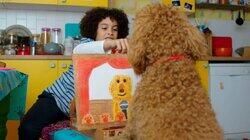 Waffle's Wonderful Art Waffle's Wonderful Art