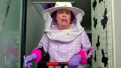 Waffle is a Listening Dog Waffle is a Listening Dog