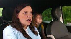 Waffle the Cat Sitter Waffle the Cat Sitter