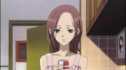 Hachi's Confused Heart Hachi's Confused Heart