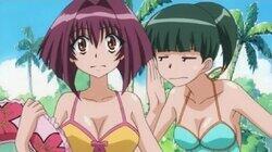 It's the Summer! It's the Pool! It's Embarrassing