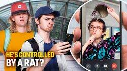 He's Controlled By a Rat? He's Controlled By a Rat?