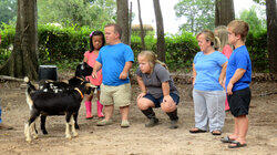 #GoatPoop #GoatPoop