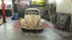 Papa's Got a Brand New Bug Papa's Got a Brand New Bug