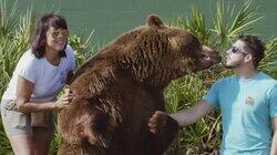 Bonding with the Bears Bonding with the Bears