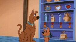 Scooby's Gold Medal Gambit Scooby's Gold Medal Gambit