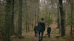 Werewolf and Demon in the Woods Werewolf and Demon in the Woods