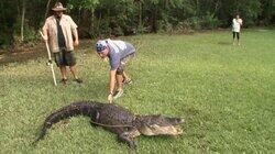 Gatorzilla