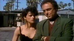 The Malibu Mystery The Malibu Mystery