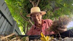 Episode 29 - Heritage; Bromeliad; Storm; Critters; Food Episode 29 - Heritage; Bromeliad; Storm; Critters; Food