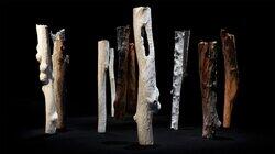 NAIDOC Week: Dylan Mooney, Eucalyptusdom NAIDOC Week: Dylan Mooney, Eucalyptusdom