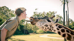 It's a Baby Giraffe! It's a Baby Giraffe!