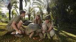 Bosco the Croc's Big Move Bosco the Croc's Big Move