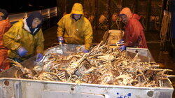 Bering Sea Salvation Bering Sea Salvation