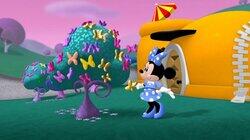 The Wizard of Dizz! The Wizard of Dizz!