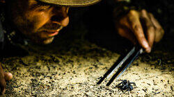 Arachnophobic Nightmares Arachnophobic Nightmares