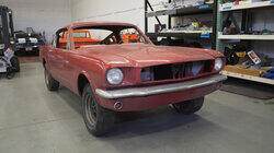 Fastback Fever Fastback Fever