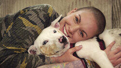 Aloha Dog Rescue Aloha Dog Rescue