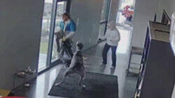 Watch Dogs Watch Dogs