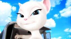 Rock the Catsbah Rock the Catsbah