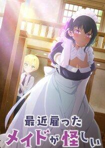 The Maid I Hired Recently Is Mysterious The Maid I Hired Recently Is Mysterious
