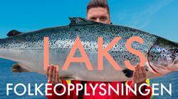 Laks