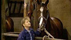 D.J.'s Very First Horse D.J.'s Very First Horse