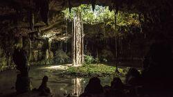 Forests of the Maya Forests of the Maya