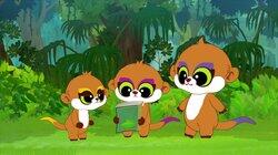 Meerkat, The Great Inventor Meerkat, The Great Inventor