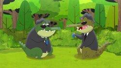 The History of Oops and Koops The History of Oops and Koops