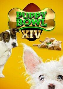 Puppy Bowl - Season 15 / Year 2018 Puppy Bowl - Season 15 / Year 2018
