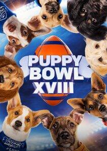 Puppy Bowl - Season 19 / Year 2022 Puppy Bowl - Season 19 / Year 2022